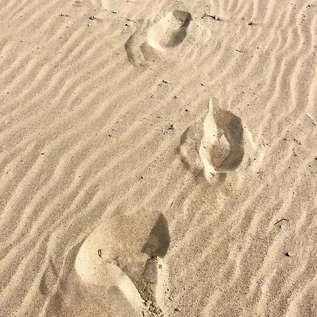 Nestor Sint-Idesbald